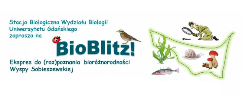 BioBlitz 2016