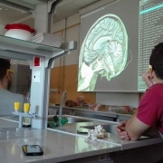 Uczniowie I&#160;LO w&#160;Nowym Dworze Gdańskim na warsztatach "Co w&#160;głowie piszczy - mózg pod lupą i&#160;mikroskopem"<br